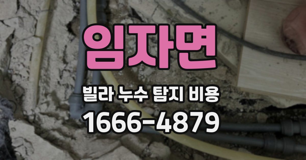 임자면 빌라 누수 탐지 비용