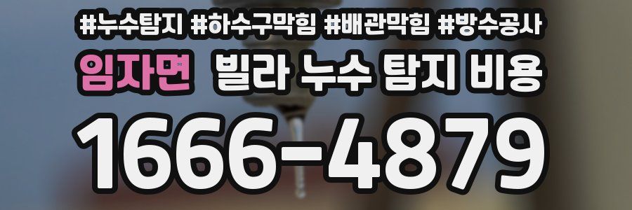 임자면 빌라 누수 탐지 비용