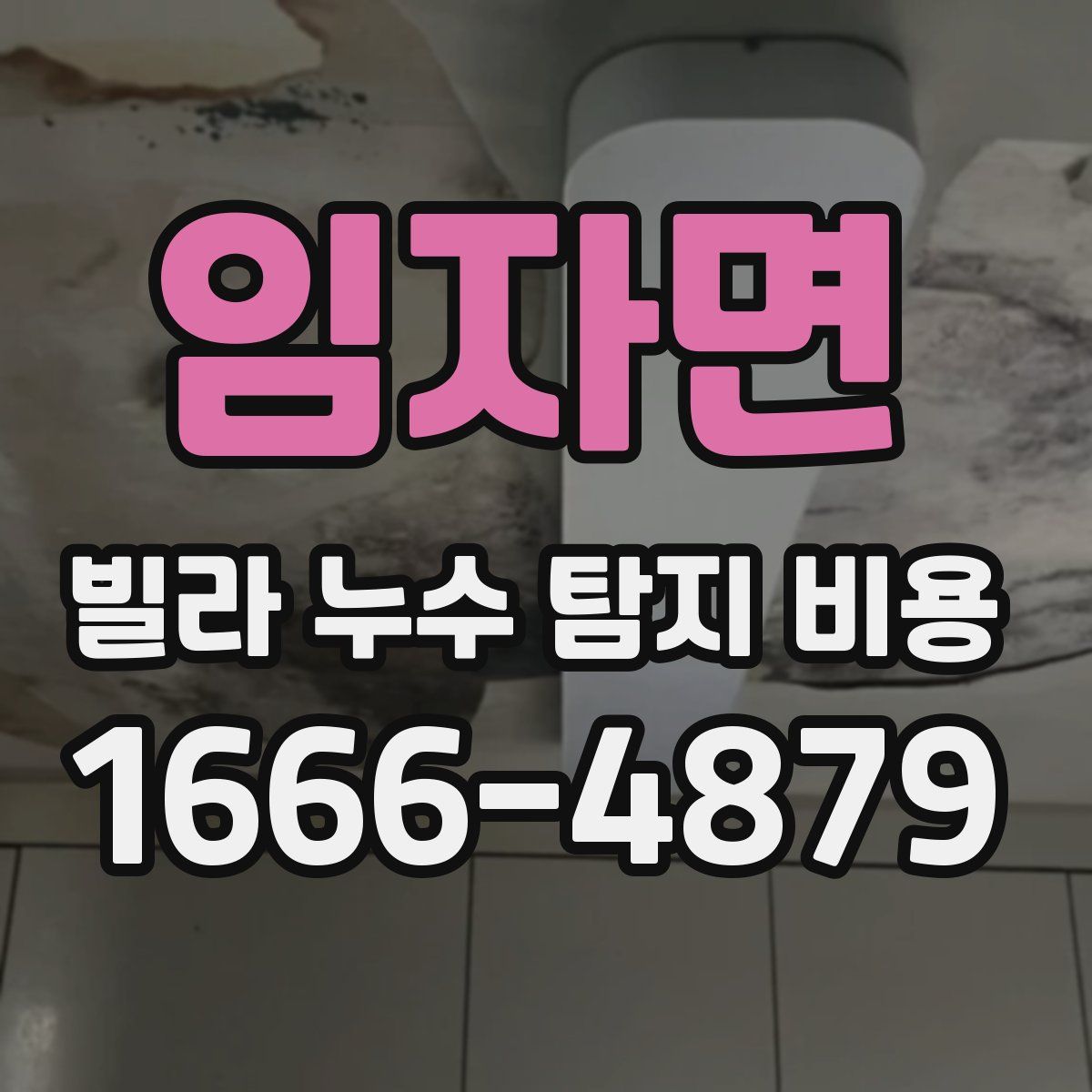 임자면 빌라 누수 탐지 비용