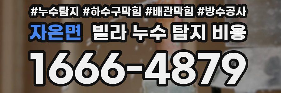자은면 빌라 누수 탐지 비용