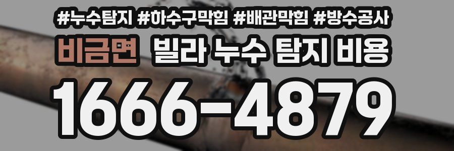 비금면 빌라 누수 탐지 비용