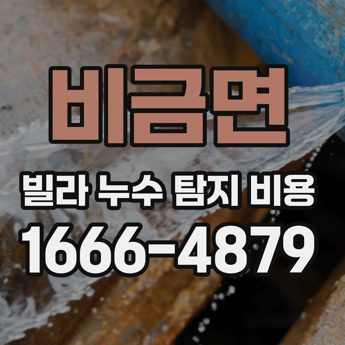 비금면 빌라 누수 탐지 비용