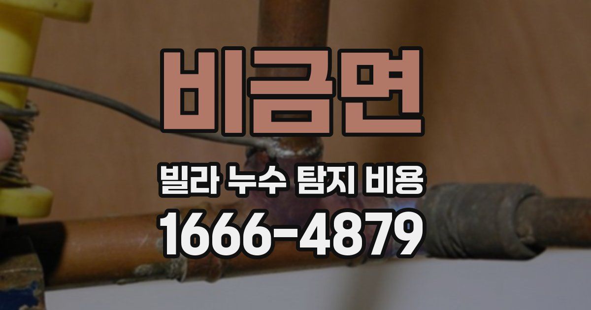 비금면 빌라 누수 탐지 비용
