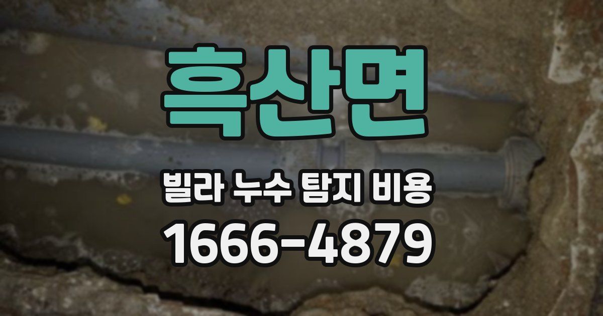 흑산면 빌라 누수 탐지 비용