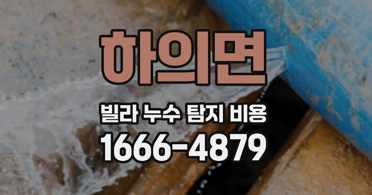 하의면 빌라 누수 탐지 비용
