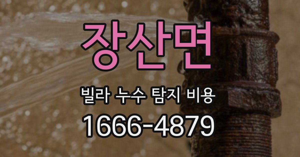 장산면 빌라 누수 탐지 비용