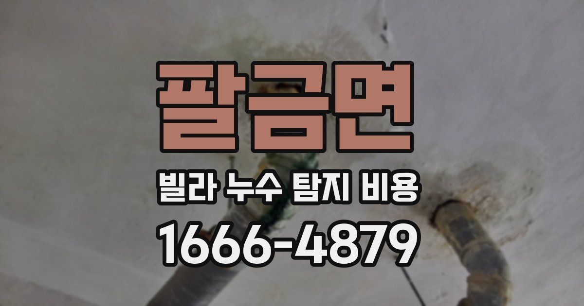 팔금면 빌라 누수 탐지 비용