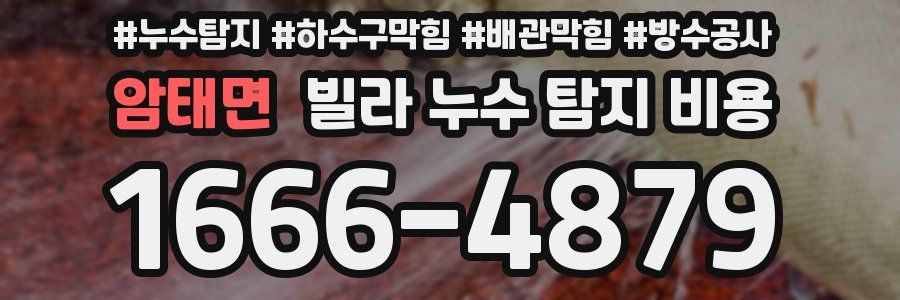 암태면 빌라 누수 탐지 비용
