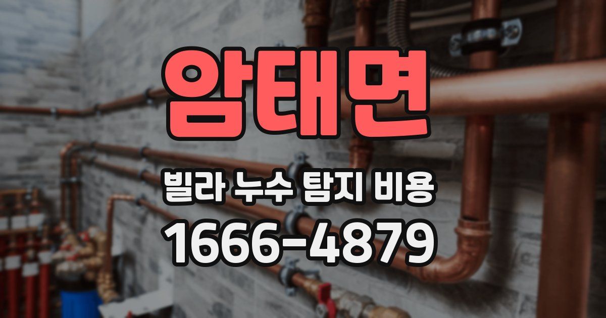 암태면 빌라 누수 탐지 비용