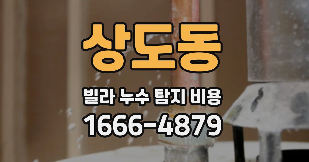 상도동 빌라 누수 탐지 비용