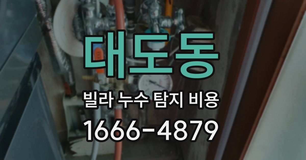 대도동 빌라 누수 탐지 비용