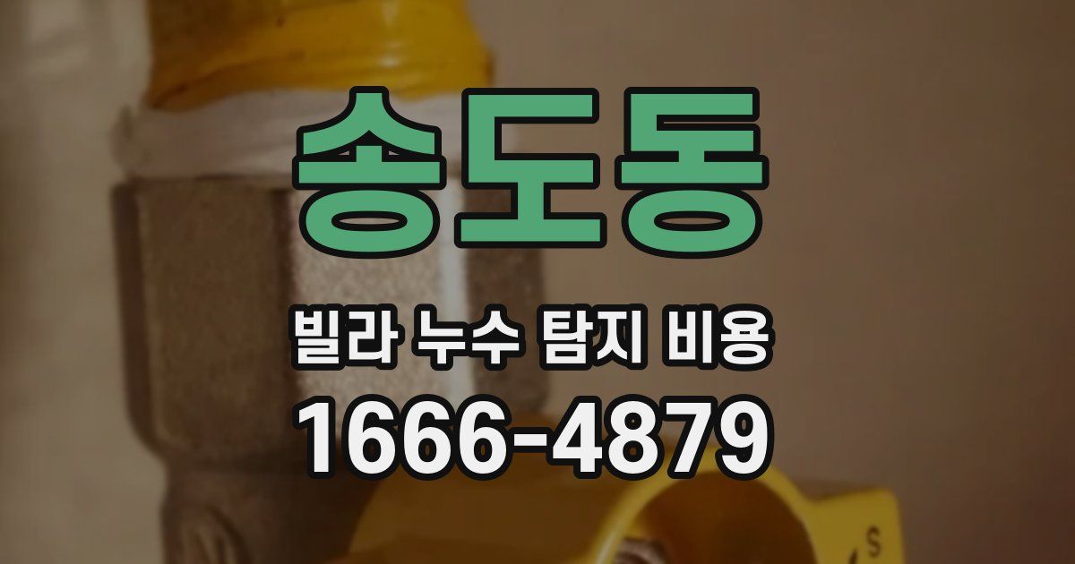 송도동 빌라 누수 탐지 비용