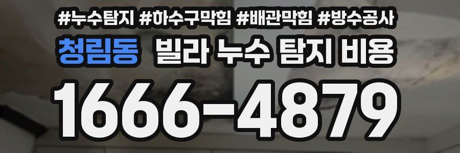 청림동 빌라 누수 탐지 비용
