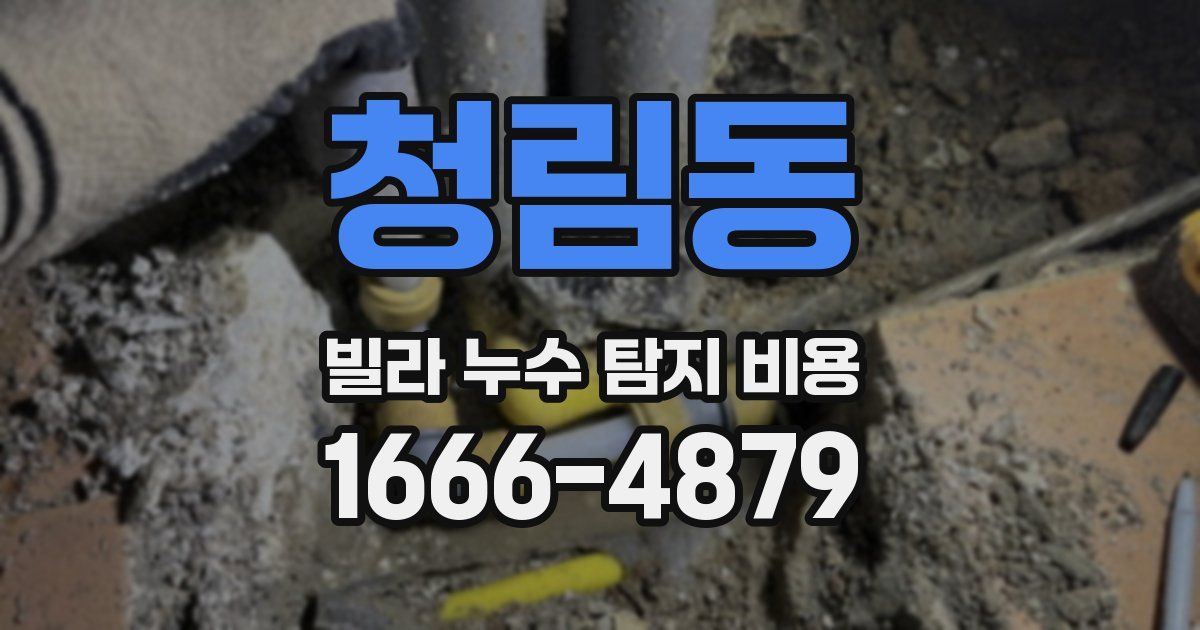 청림동 빌라 누수 탐지 비용