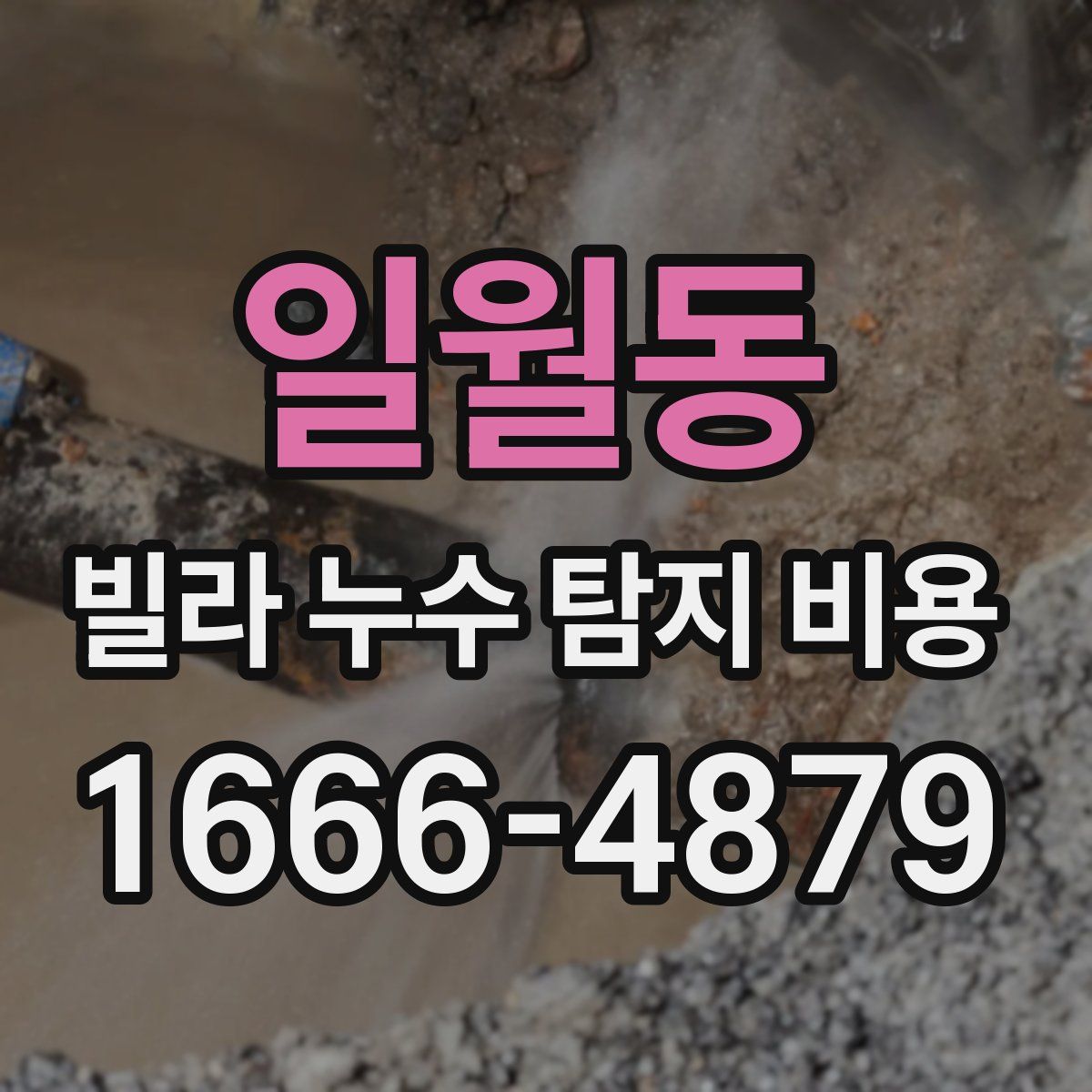 일월동 빌라 누수 탐지 비용