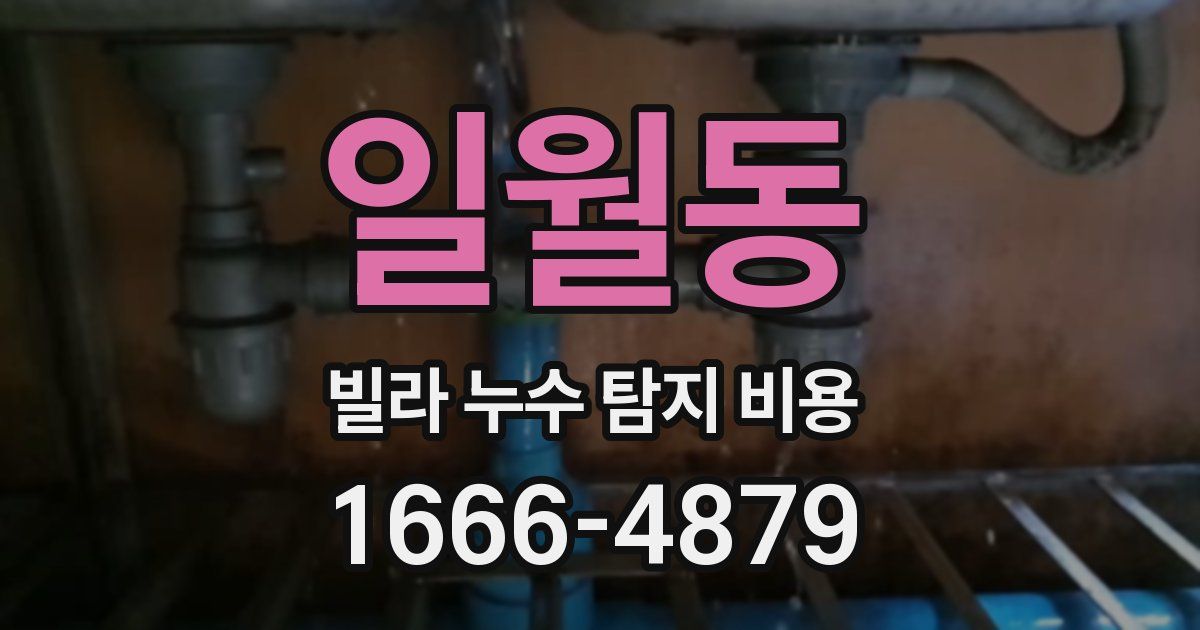 일월동 빌라 누수 탐지 비용