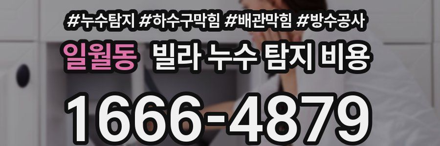 일월동 빌라 누수 탐지 비용