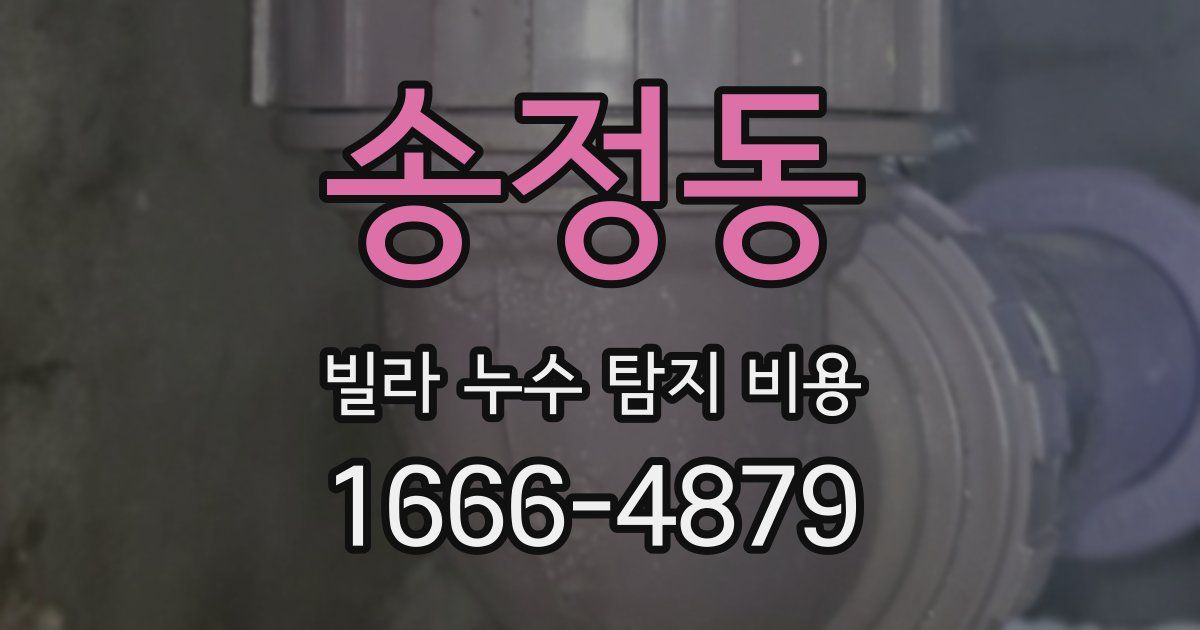 송정동 빌라 누수 탐지 비용