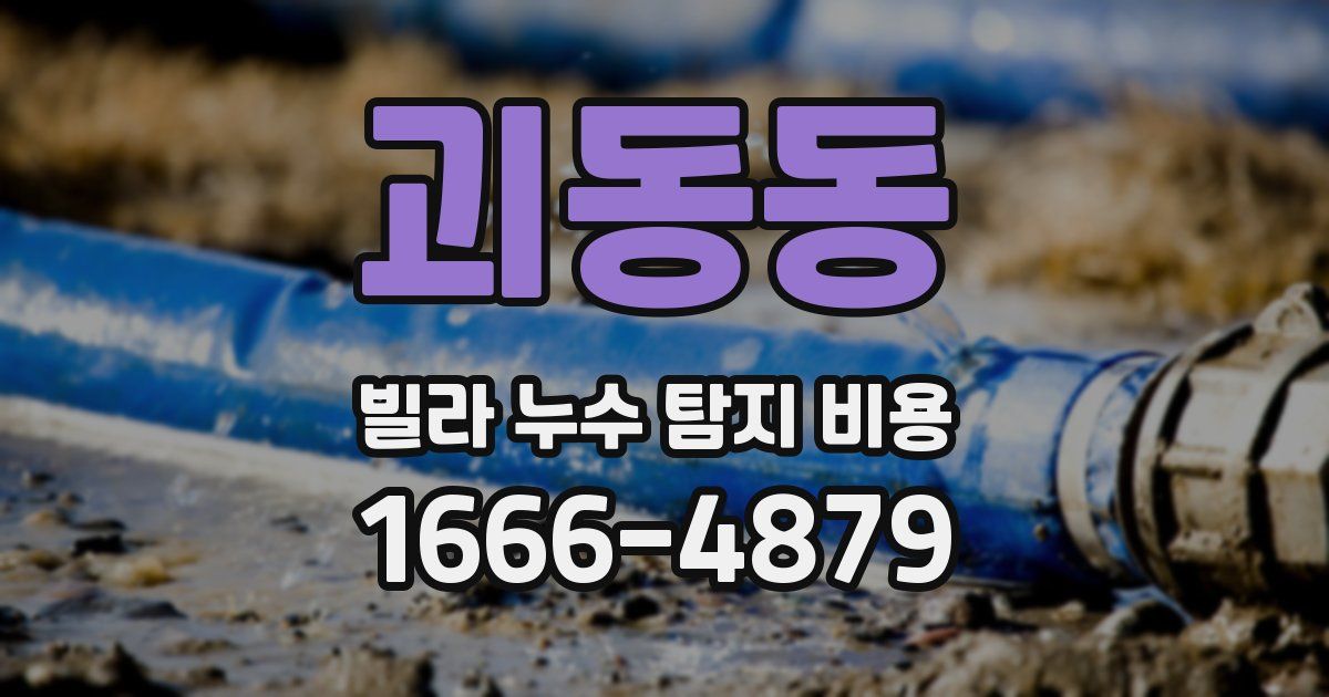 괴동동 빌라 누수 탐지 비용