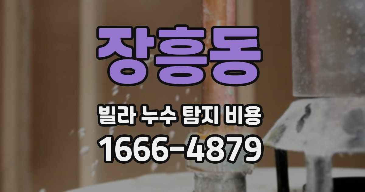 장흥동 빌라 누수 탐지 비용