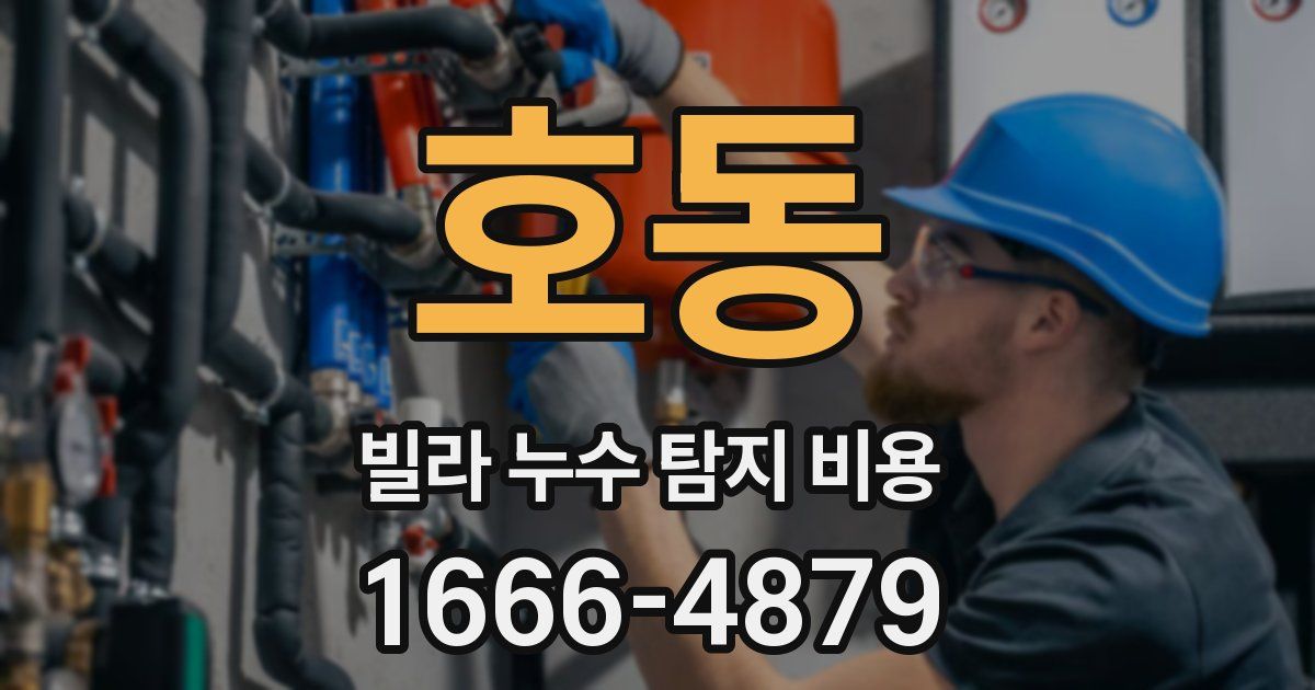 호동 빌라 누수 탐지 비용