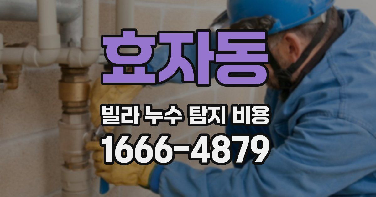 효자동 빌라 누수 탐지 비용