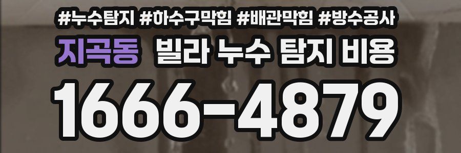 지곡동 빌라 누수 탐지 비용