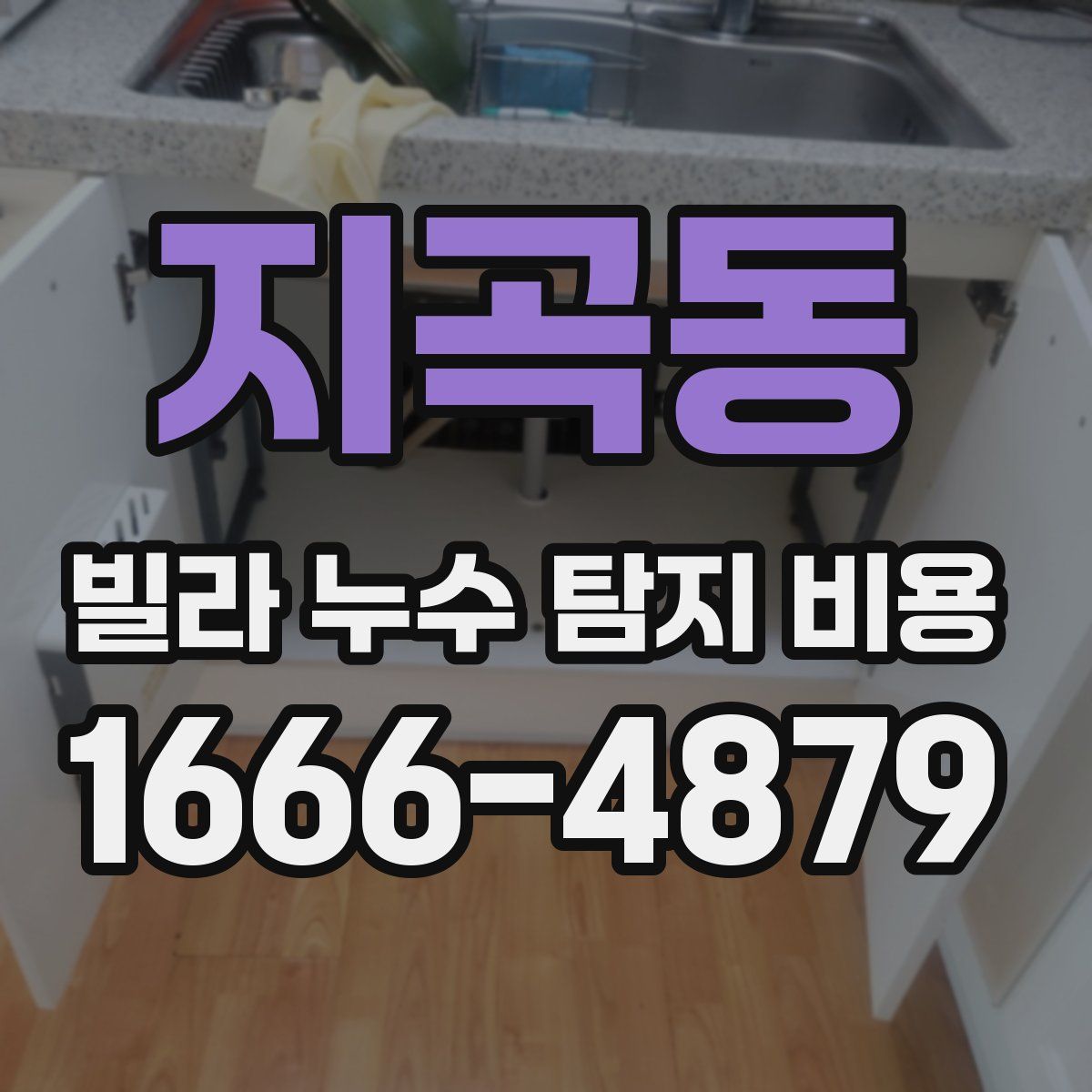 지곡동 빌라 누수 탐지 비용