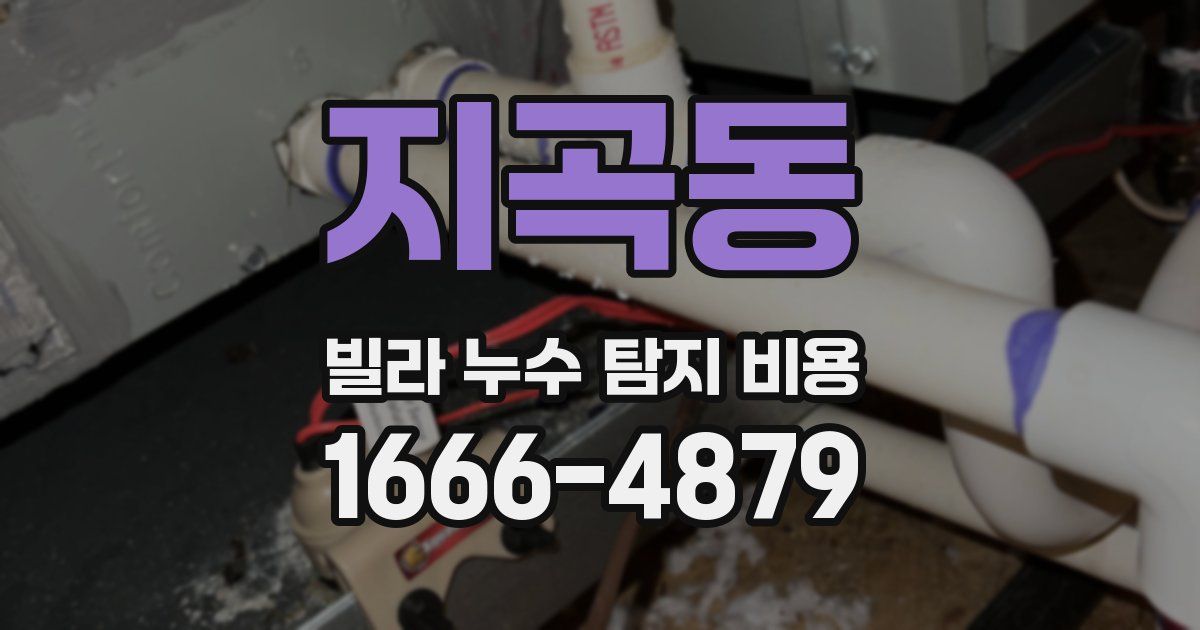 지곡동 빌라 누수 탐지 비용