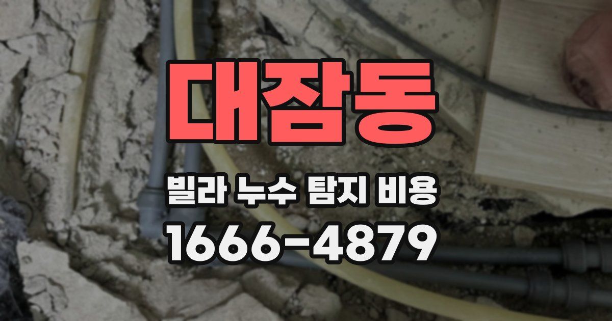 대잠동 빌라 누수 탐지 비용