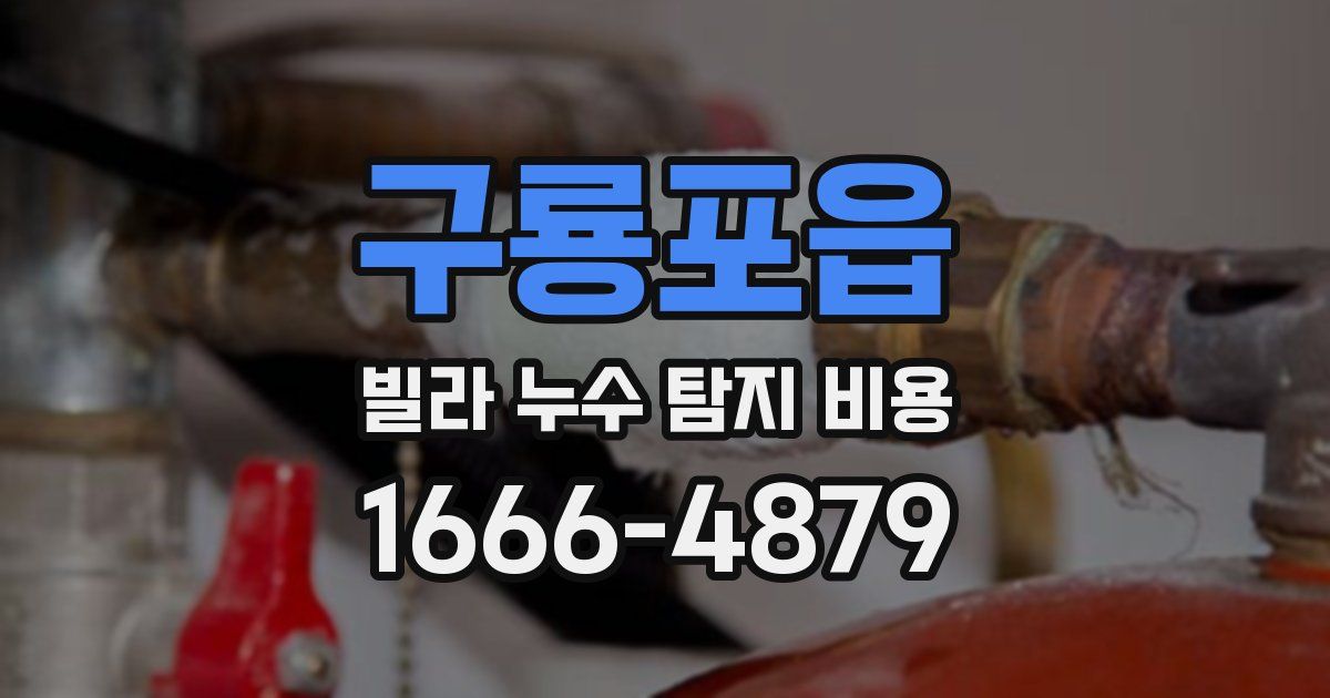 구룡포읍 빌라 누수 탐지 비용