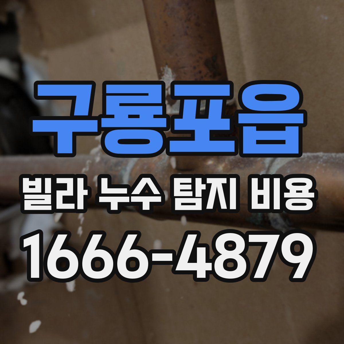 구룡포읍 빌라 누수 탐지 비용