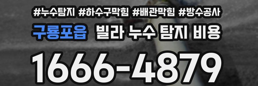 구룡포읍 빌라 누수 탐지 비용