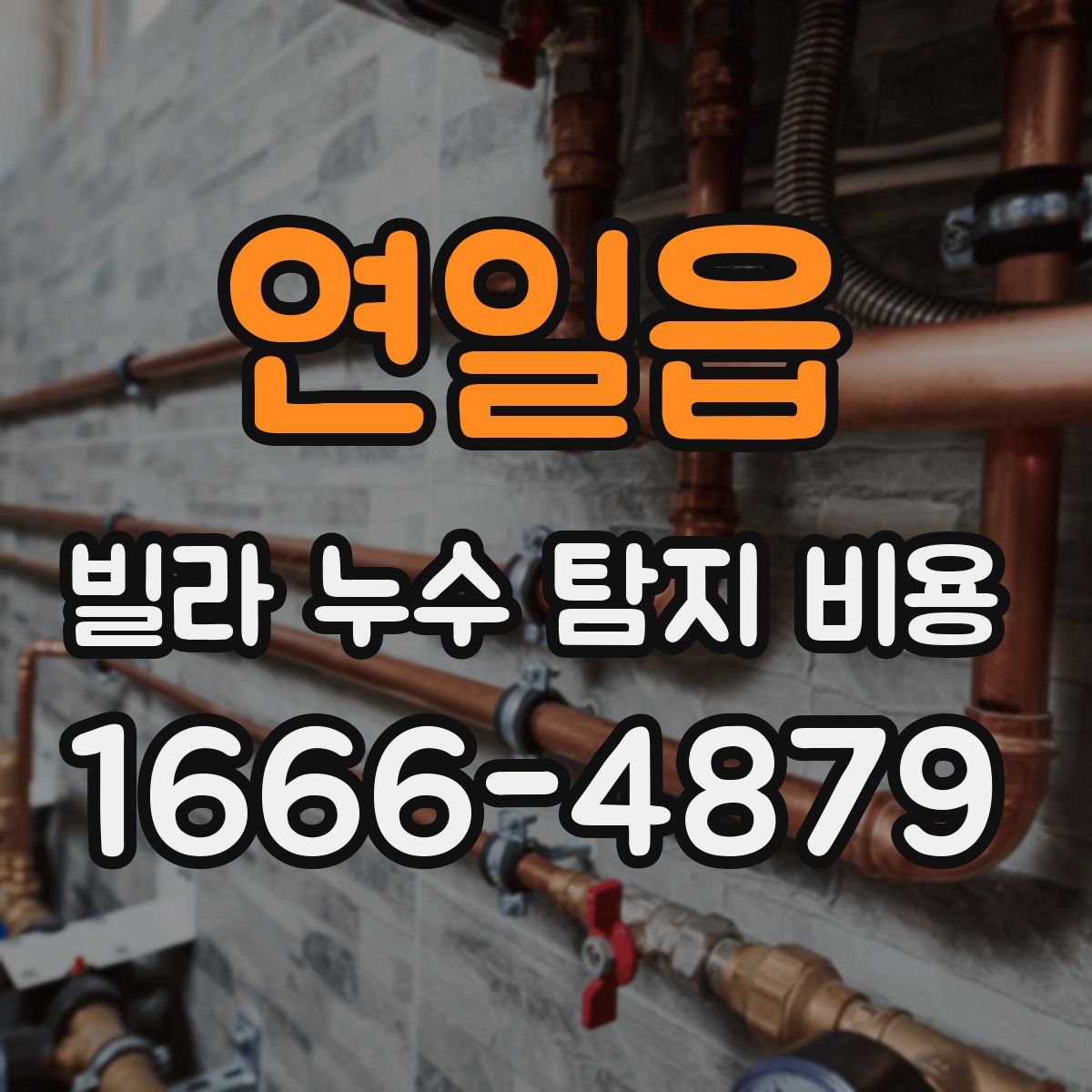 연일읍 빌라 누수 탐지 비용