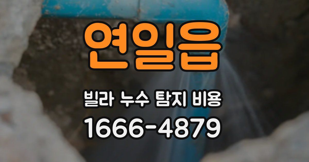 연일읍 빌라 누수 탐지 비용