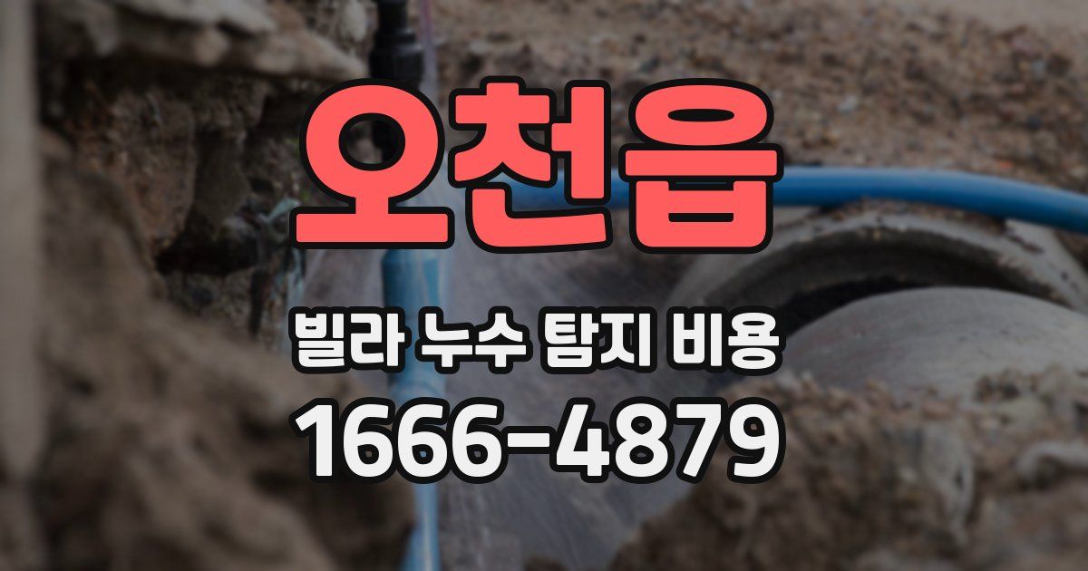 오천읍 빌라 누수 탐지 비용