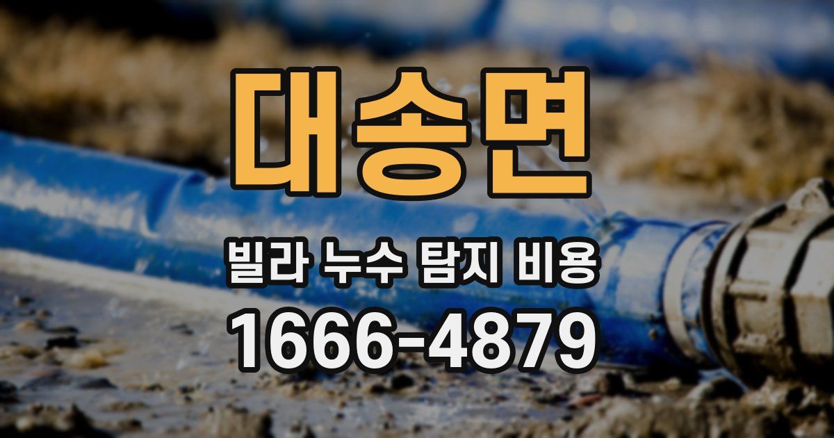 대송면 빌라 누수 탐지 비용