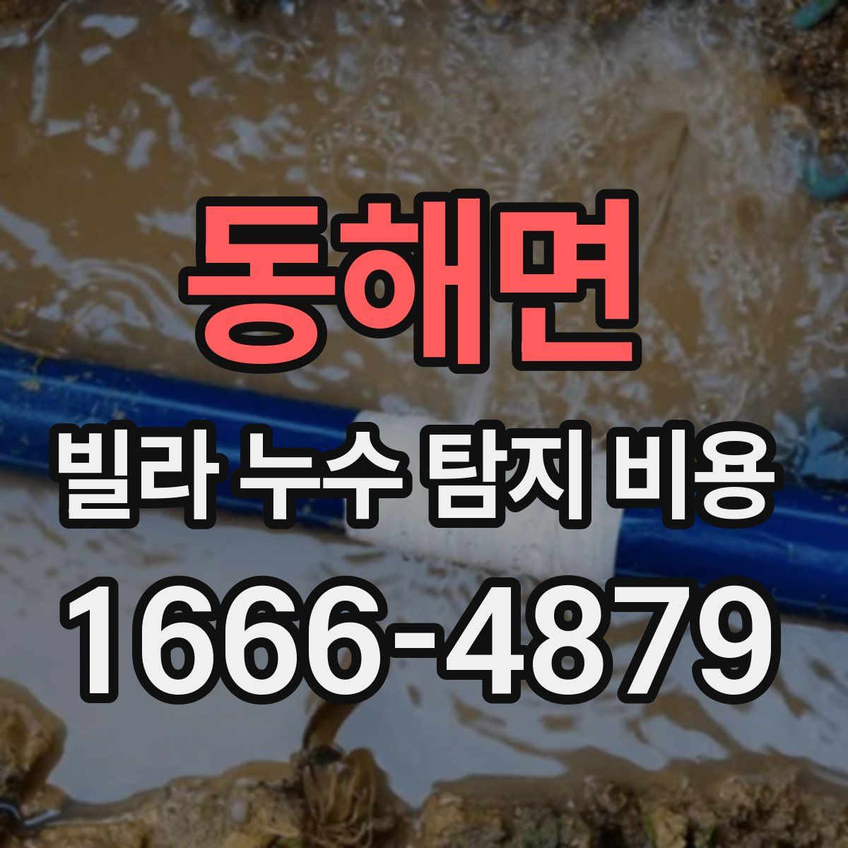 동해면 빌라 누수 탐지 비용