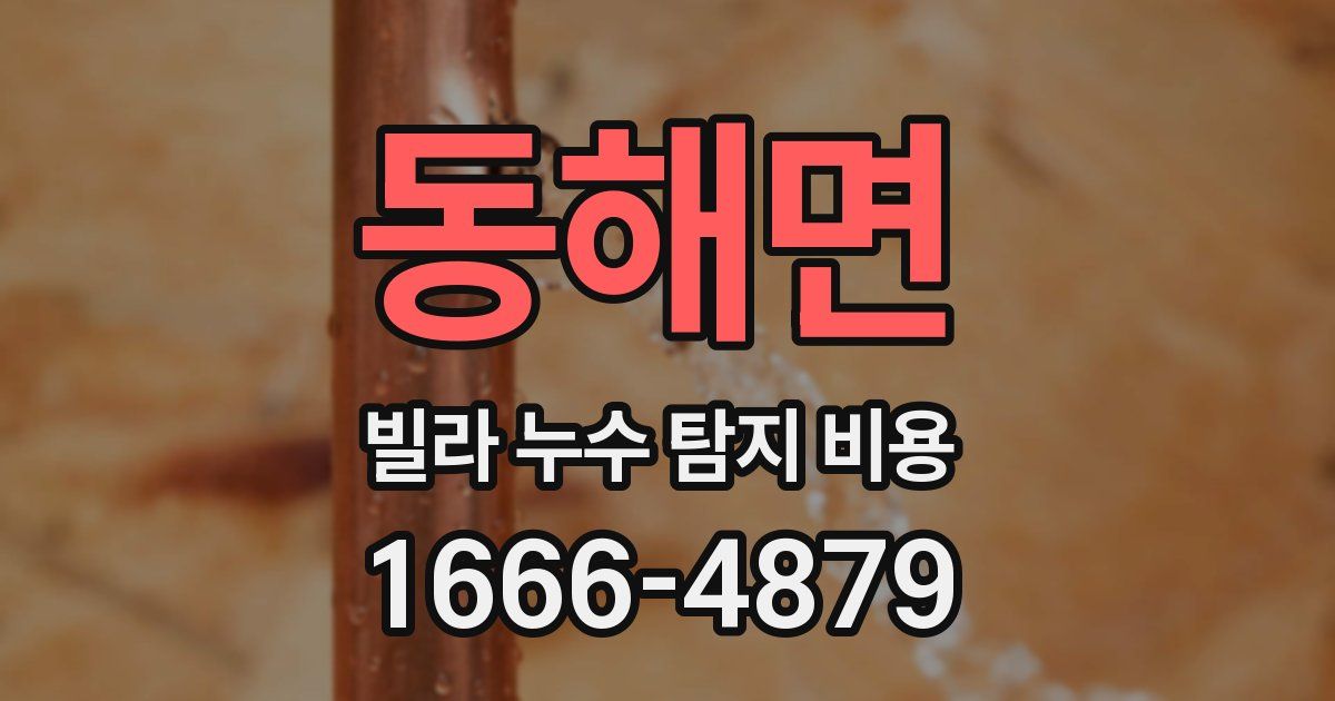 동해면 빌라 누수 탐지 비용