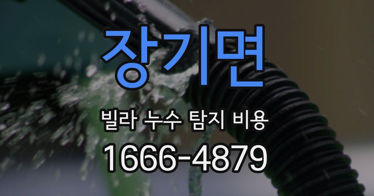 장기면 빌라 누수 탐지 비용