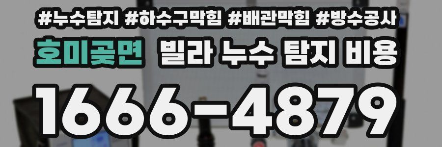 호미곶면 빌라 누수 탐지 비용