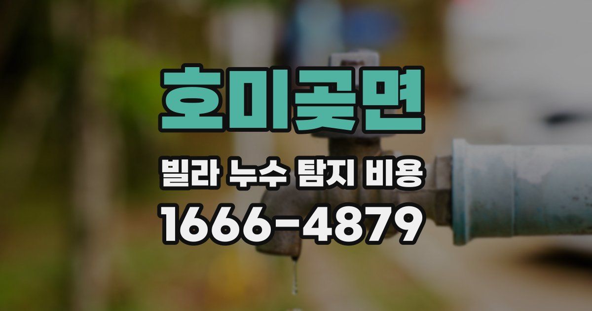 호미곶면 빌라 누수 탐지 비용