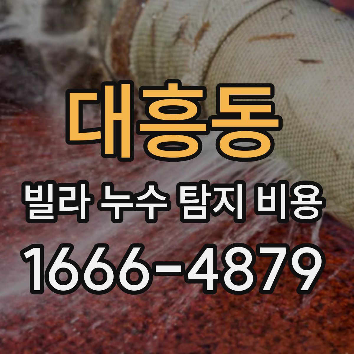 대흥동 빌라 누수 탐지 비용