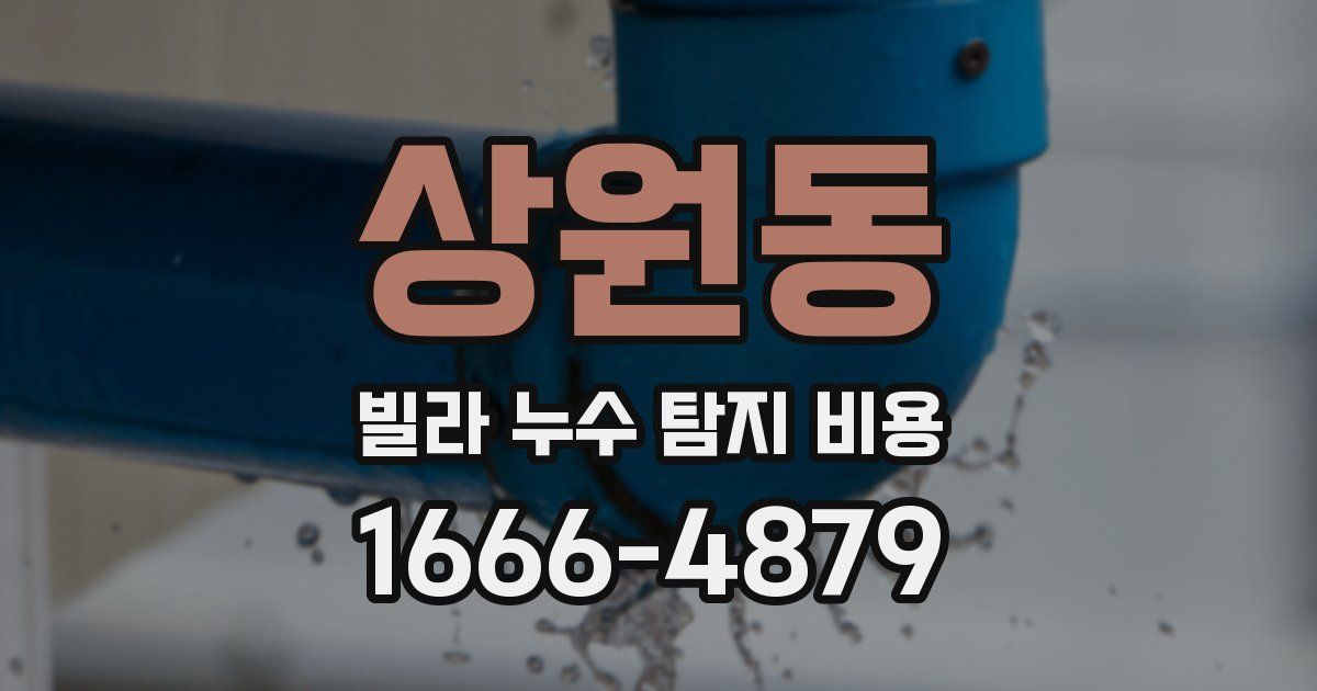 상원동 빌라 누수 탐지 비용