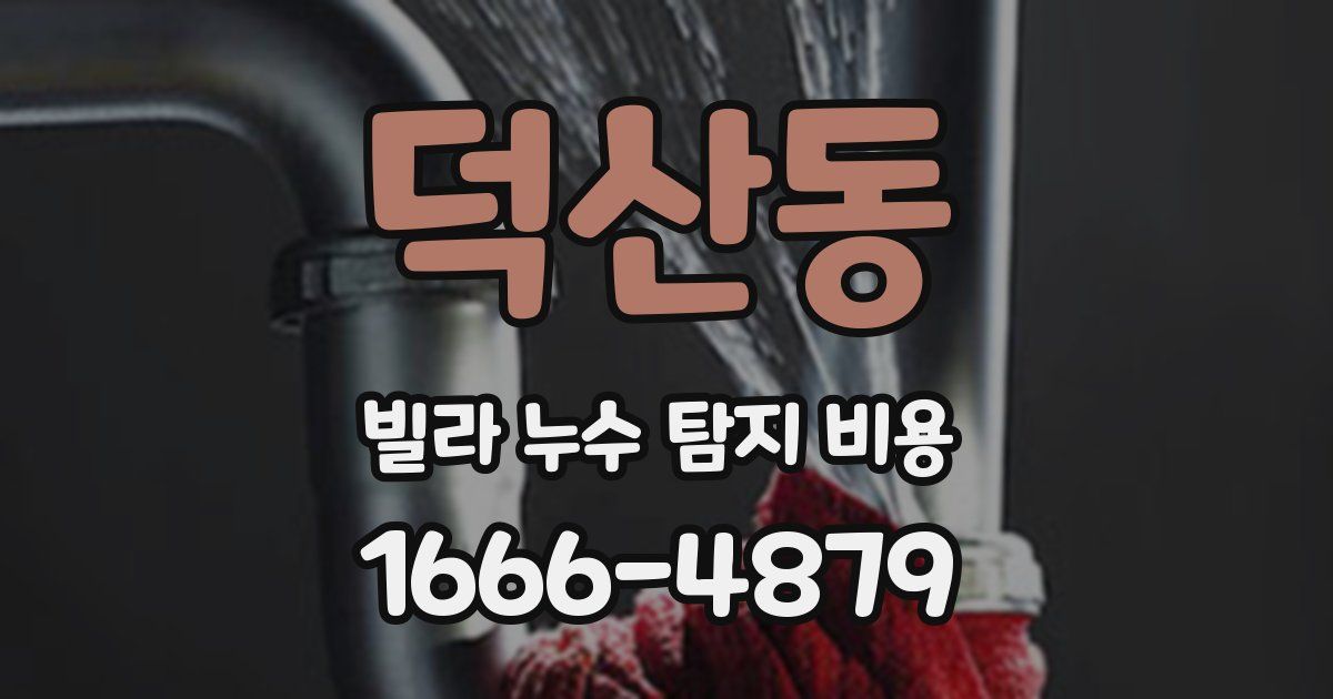 덕산동 빌라 누수 탐지 비용