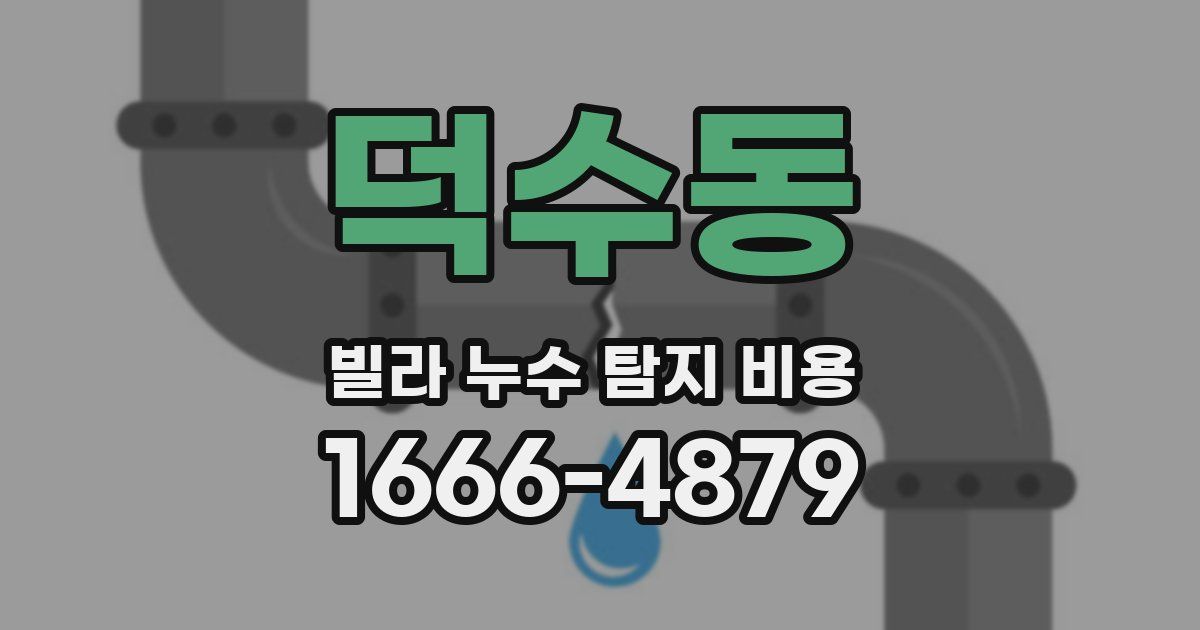 덕수동 빌라 누수 탐지 비용