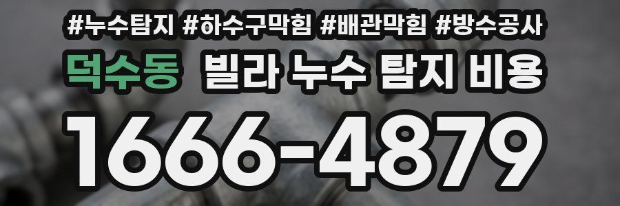 덕수동 빌라 누수 탐지 비용