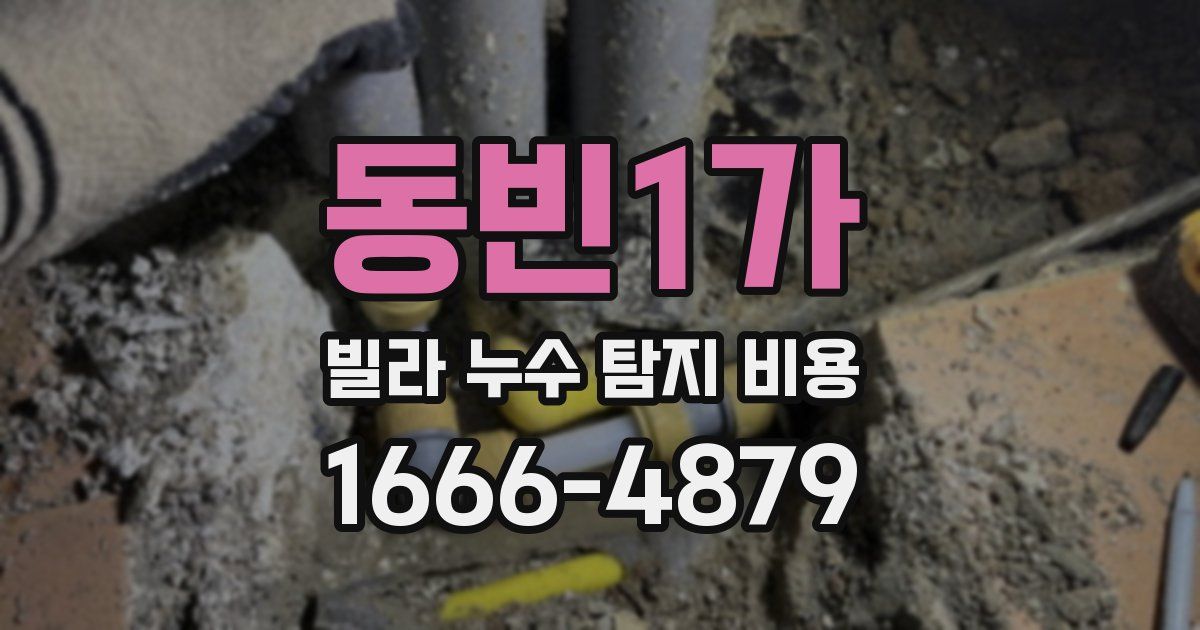동빈1가 빌라 누수 탐지 비용