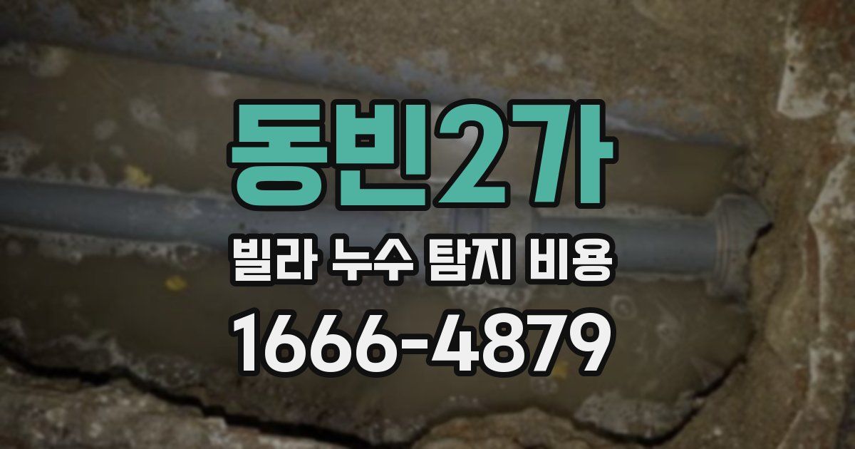 동빈2가 빌라 누수 탐지 비용