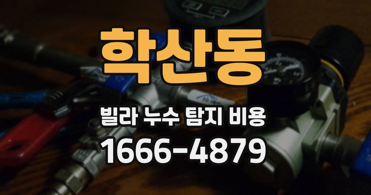 학산동 빌라 누수 탐지 비용